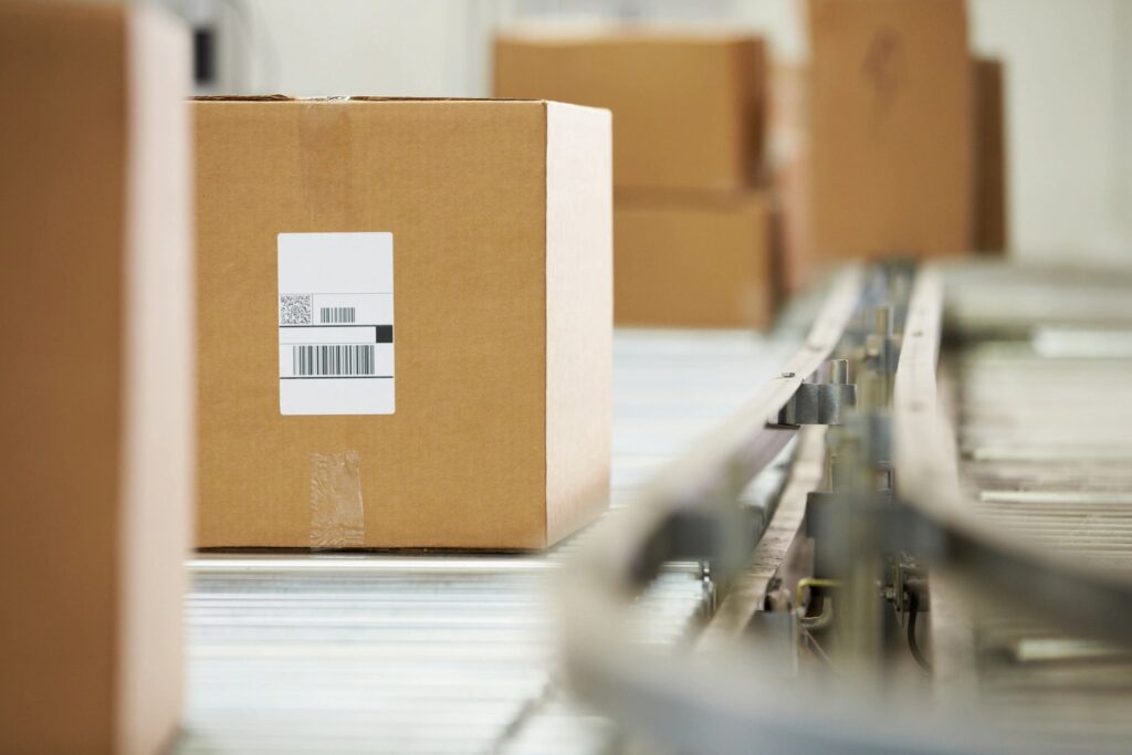 Flexible Systems, Faster Wins: Designing for Packaging Variability in Club, eCommerce, and Specialty Channels